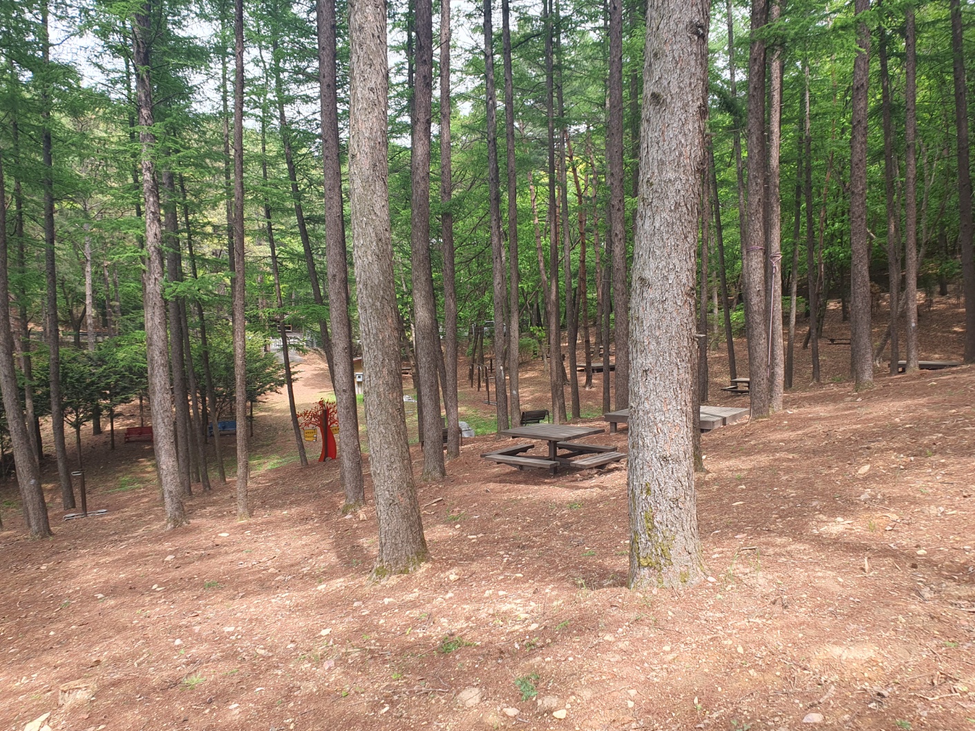 봉래산산림욕장