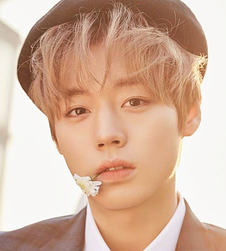 배우-박지훈