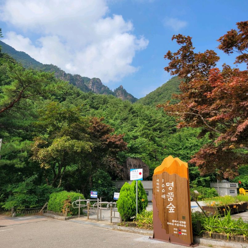 무릉계곡