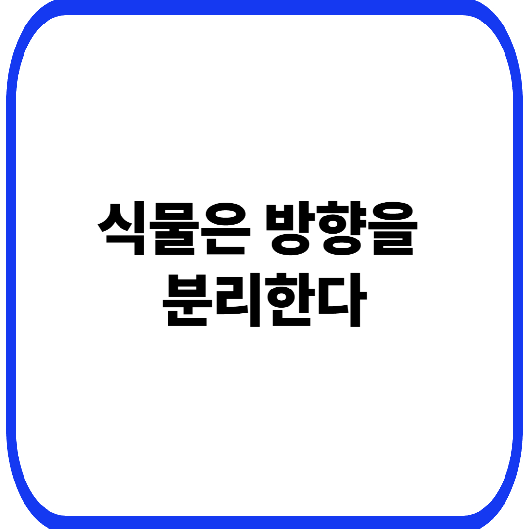 식물 방향 분리 전략에서 시작되는 생존 설계, 한쪽으로만 자라지 않는 이유
