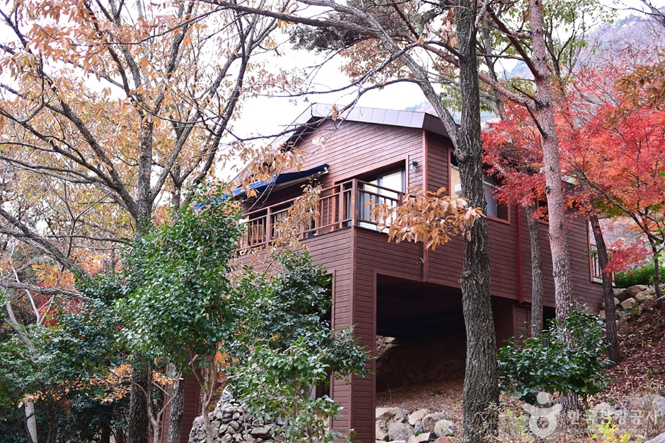 해남군 흑석산자연휴양림, 힐링 숲캉스 여행