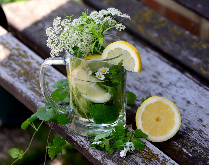 집에서 허브 식물 키우기