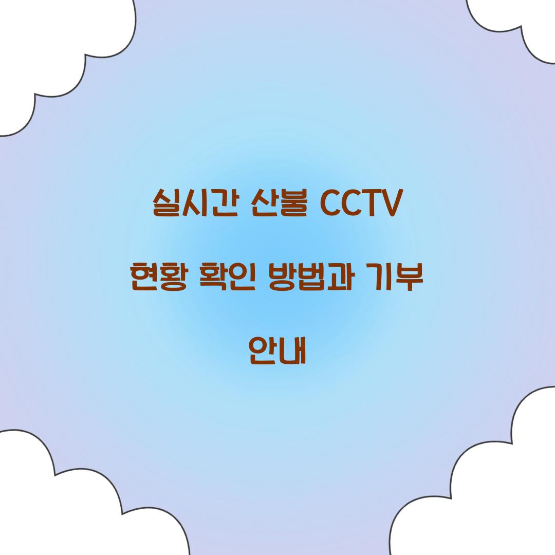 실시간 산불 CCTV 현황