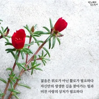 명언 인사말 예시 모음 카톡_16