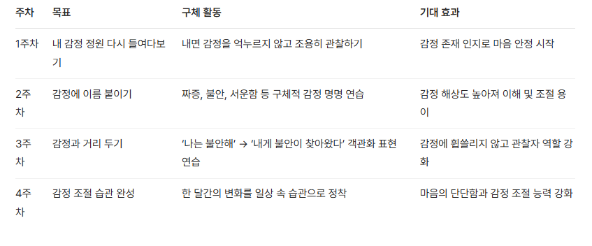 4주 감정 라벨링 챌린지 주차별 로드맵