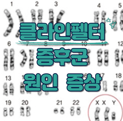 클라인펠터 증후군 원인