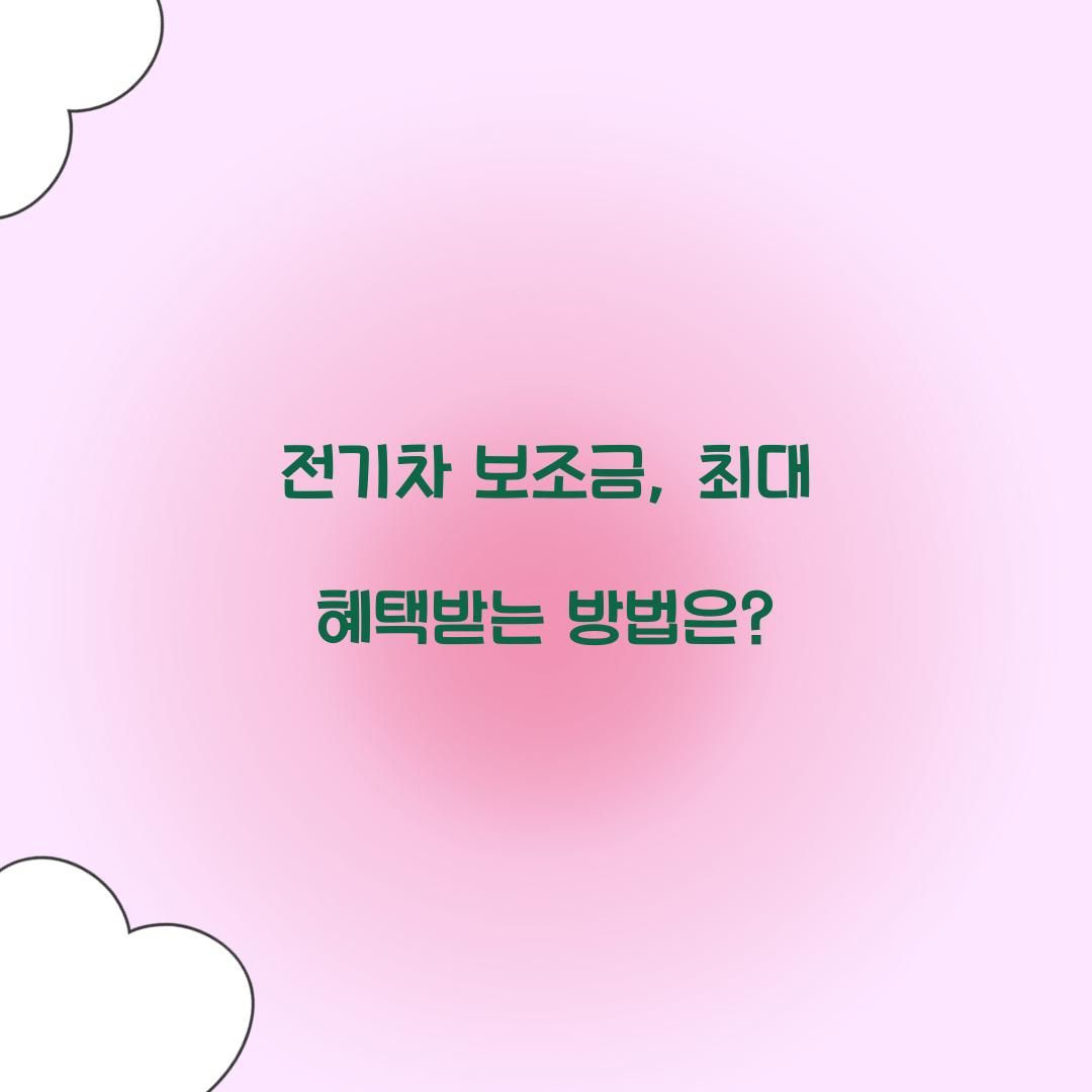 전기차 보조금