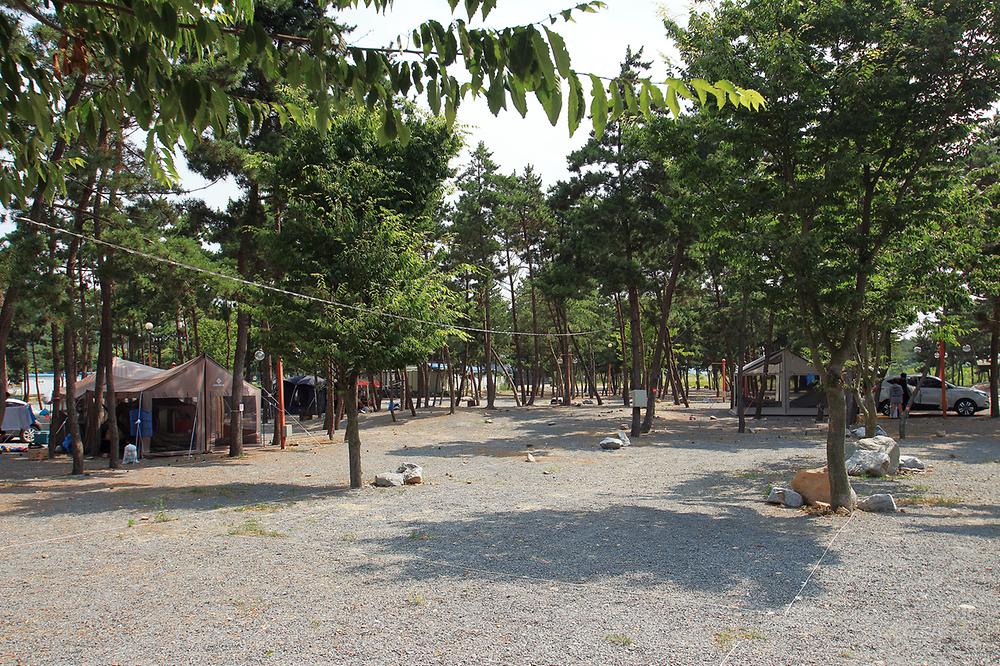 태안군 어은돌 송림캠핑장 소개