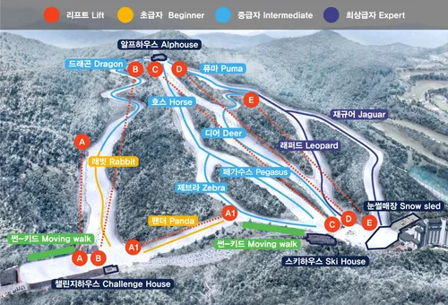 엘리시안 강촌 스키장 슬로프