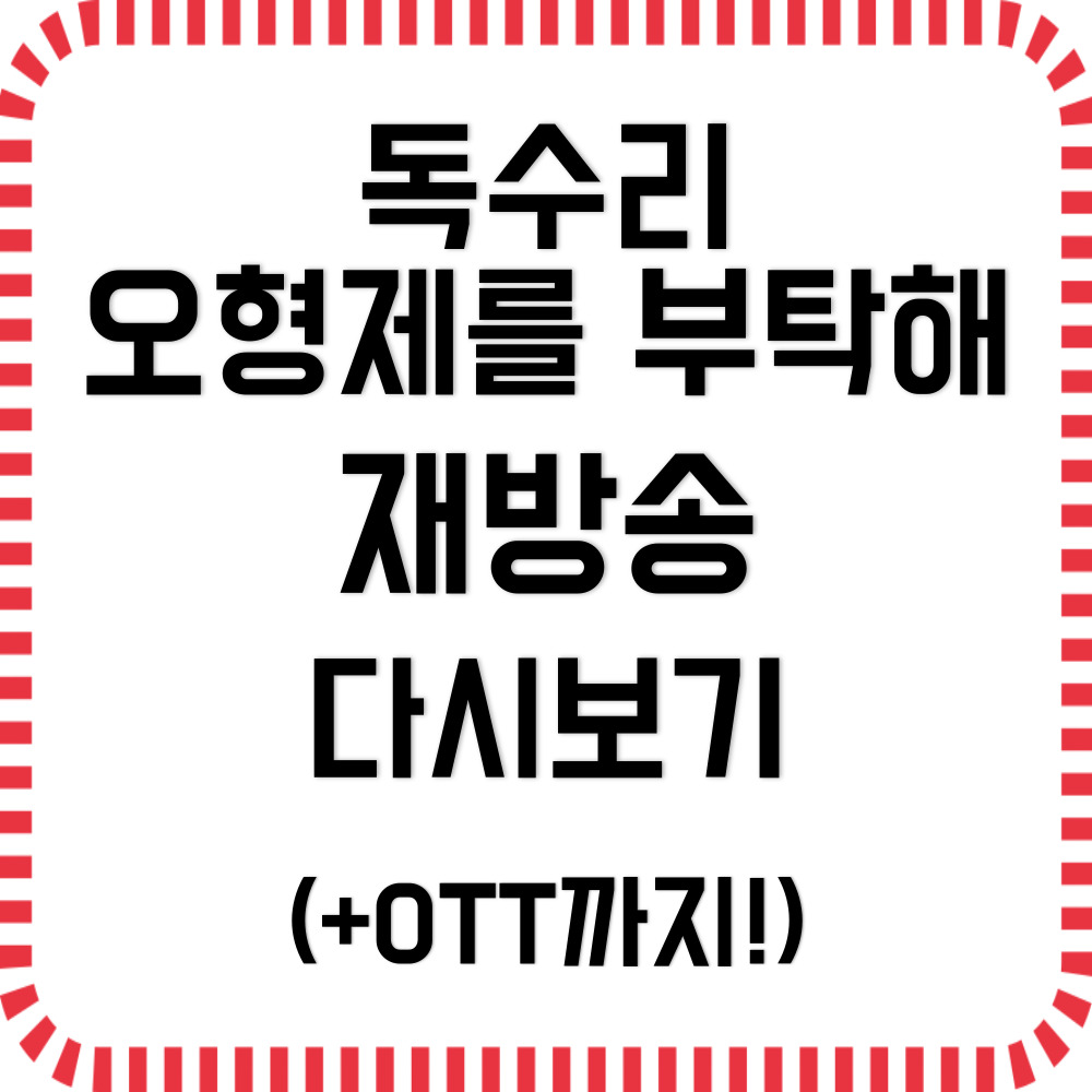 독수리 오형제를 부탁해 재방송 다시보기(+OTT)