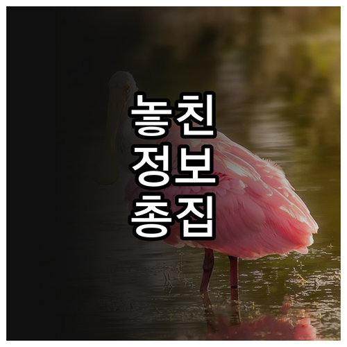 2025 구리시 만 88세 생일축하금..