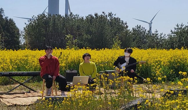 서귀포 유채꽃 축제