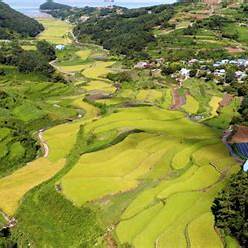 남해 추천 여행지