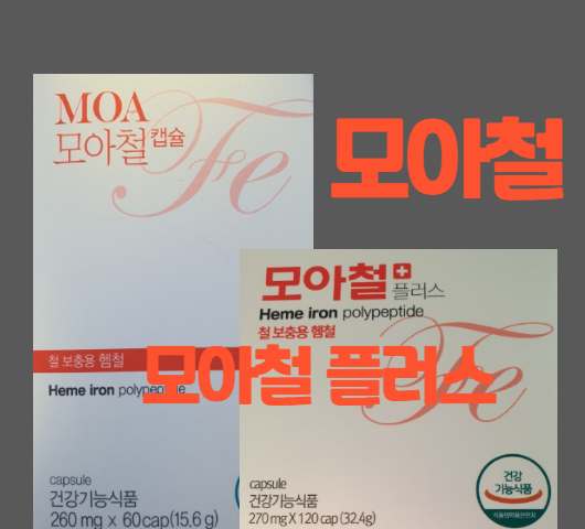 임산부 철분제 빈혈 영양제 햄철 제품 모아철