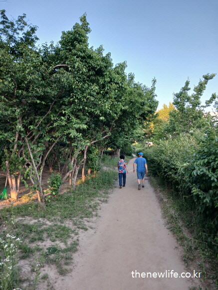 흙길 산책로를 걷는 사람들 – 마른비만 해결 운동 걷기