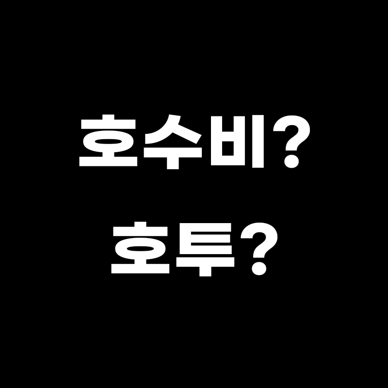 검정색 배경에 호수비? 호투? 라고 적힌 썸네일