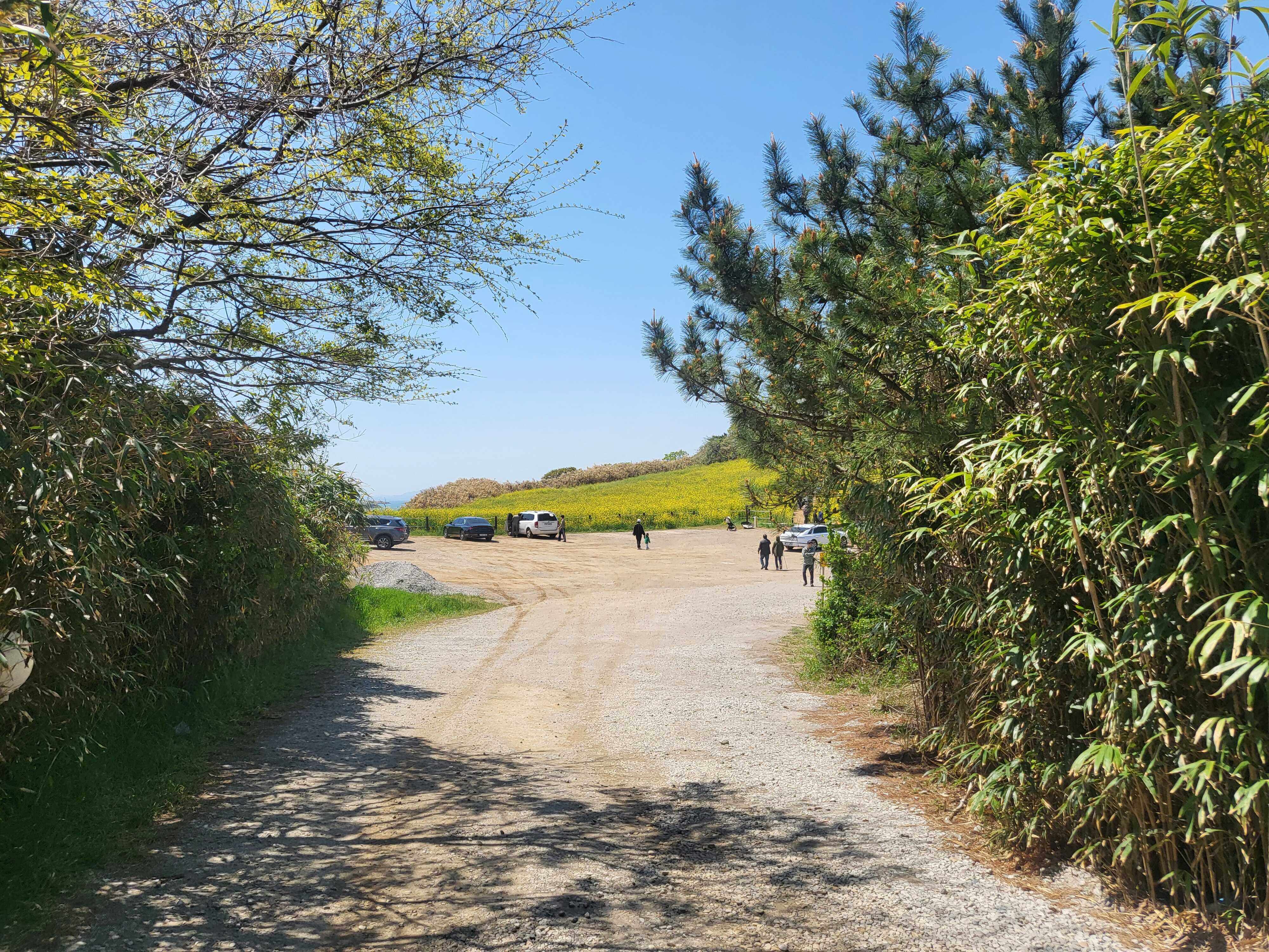 전라도 부안 여행 유채꽃 수성당
