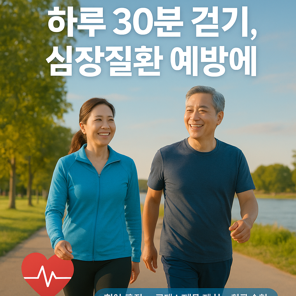 1.하루 30분 걷기가 심장질환 예방에 주는 효과