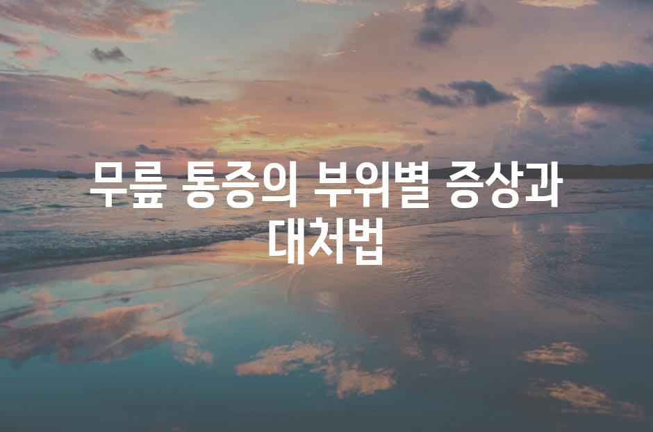 샘플 (81)