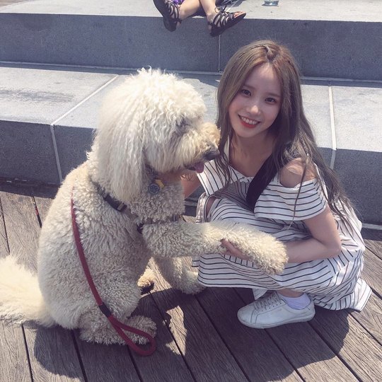 스탠다드 푸들만한 여자