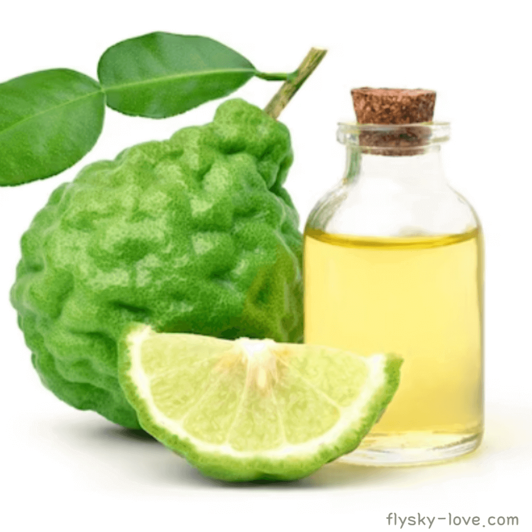 베르가못 (bergamot), 베르가못 오일