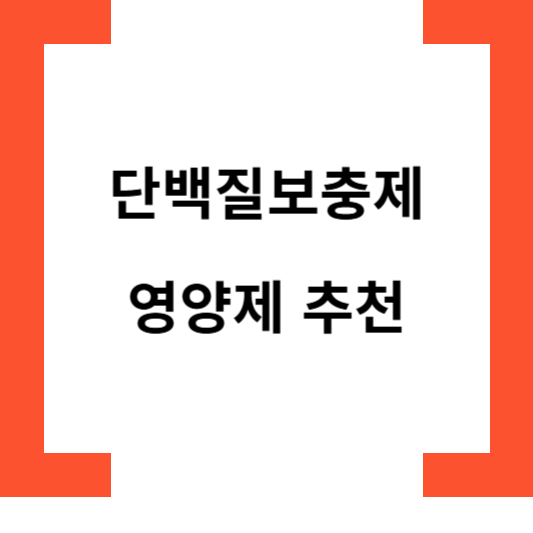 단백질보충제영양제추천