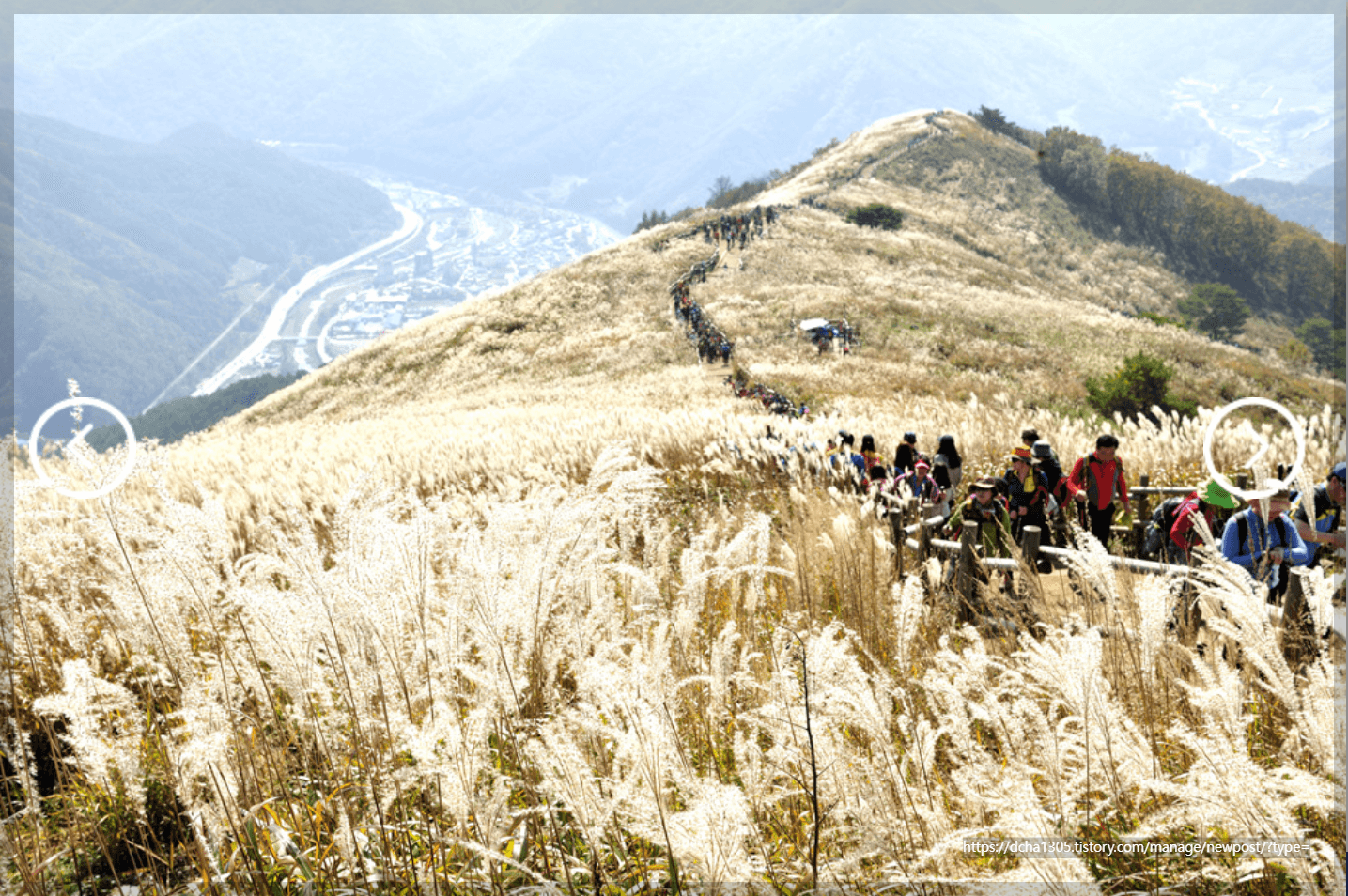 2023년 10월 11월 전국 가을 단풍 축제 BEST5