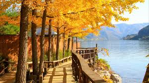 아이와 가을여행