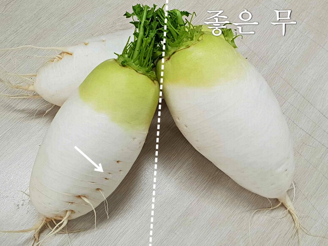 맛있는 무 고르는 법, 바람든 무 구별법, 깍두기 김장 김치, 생활 팁줌 매일꿀정보