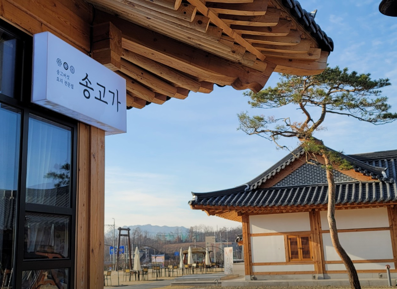[6시 내고향] 옥천 송고버섯 한정식식당&#44; 송고버섯 판매 농원 정보