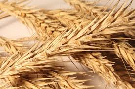 역류성식도염에 좋은 음식 