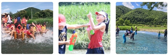 2024 양평메기수염 축제 일정, 예약, 주차장 위치