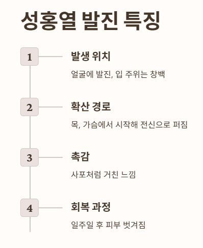 성홍열 발진 특징