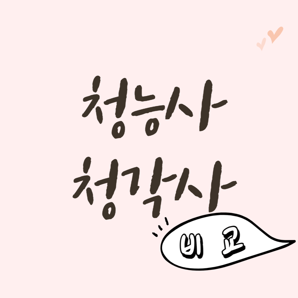 청능사 청각사 비교