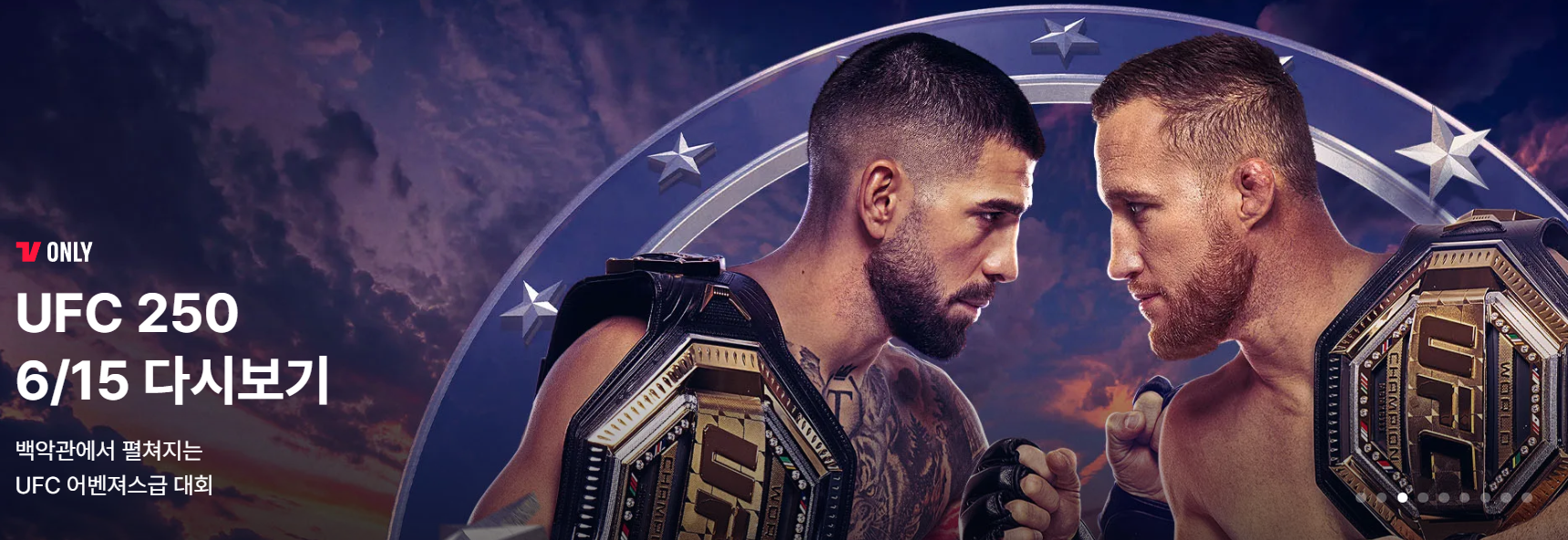 UFC FREEDOM 250