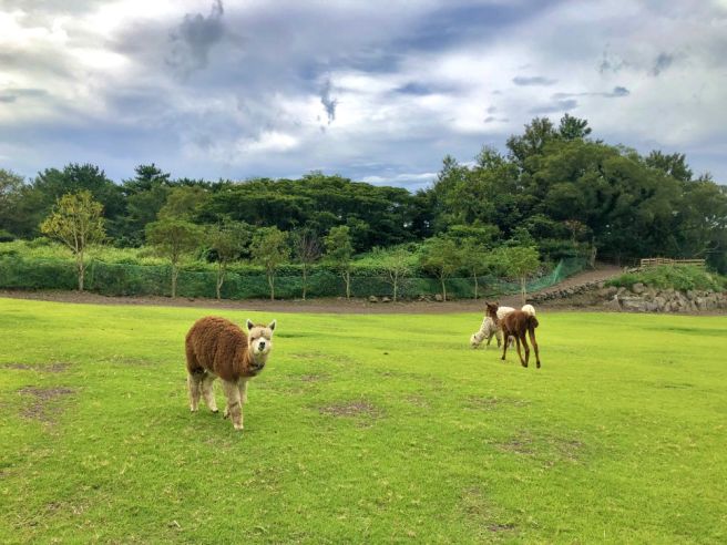 전원생활