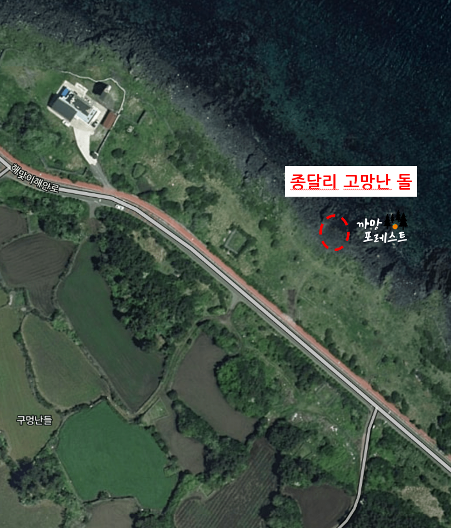 제주 고망난 돌 위치