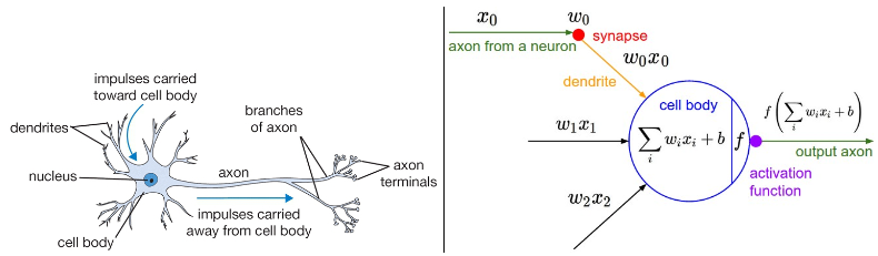Neural Network