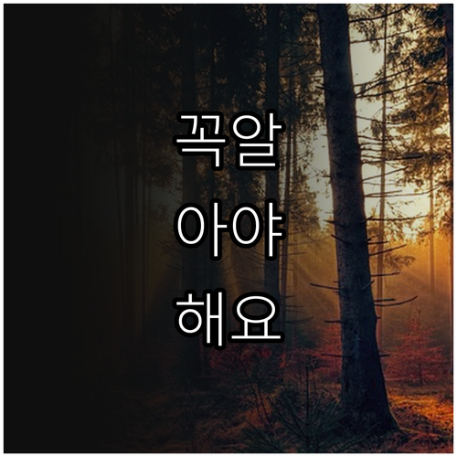 인천 문화누리카드 2025 공연 할인..