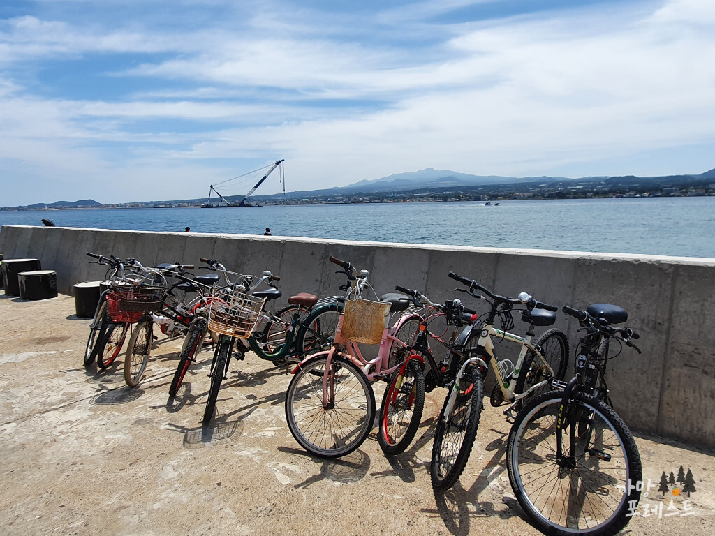 비양도 자전거