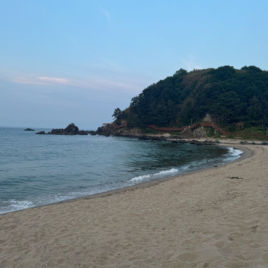 맹방해수욕장