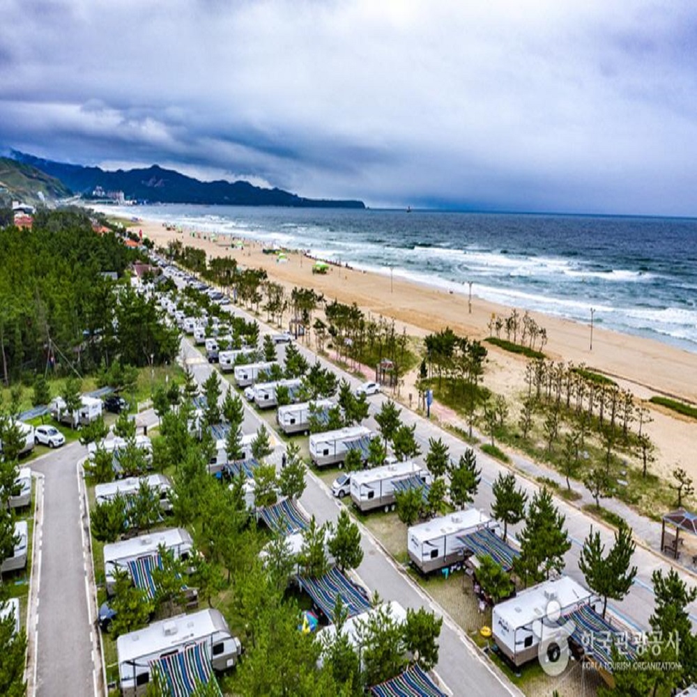 동해 해수욕장 바로가기