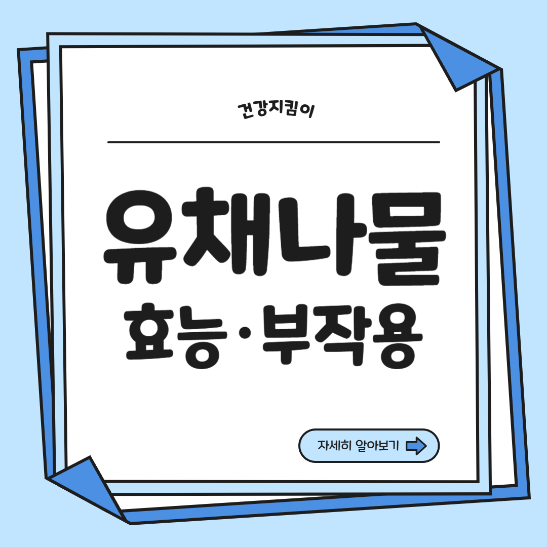 유채나물 효능 부작용 영양성분 고르는법 칼로리