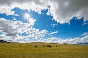 몽골 여행하기 좋은 계절 완벽 가이드 베스트 시기_8