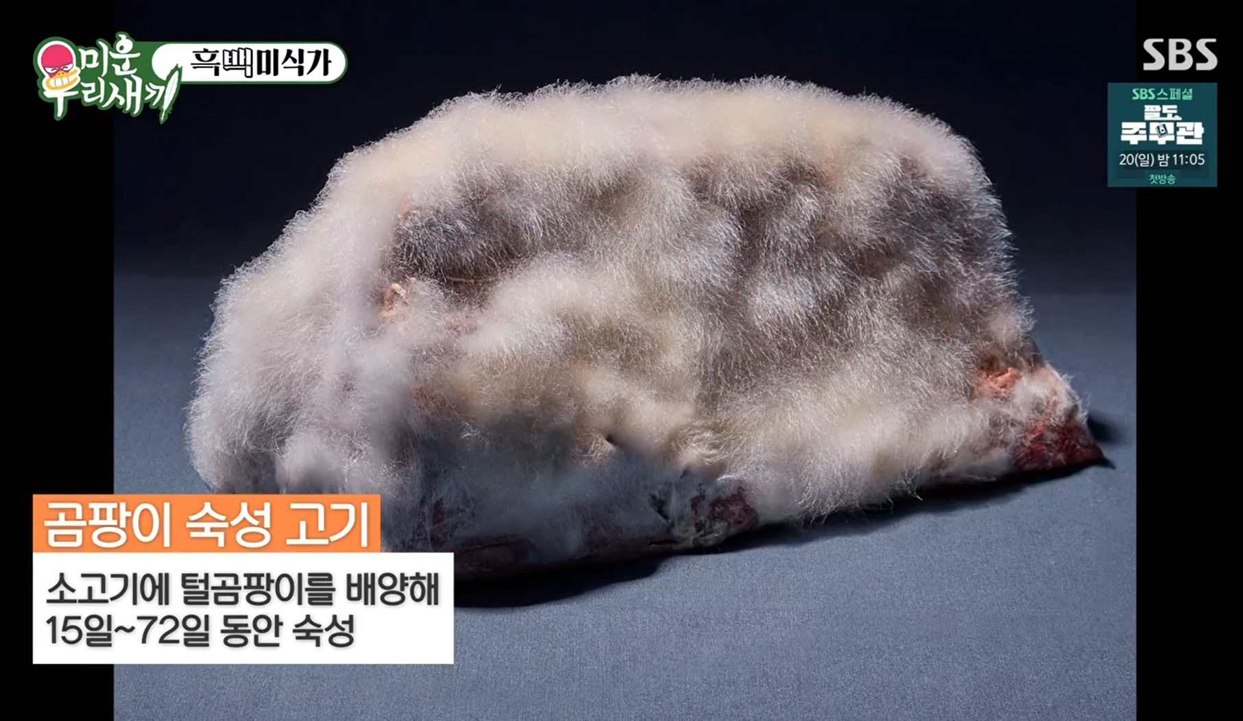 털곰팡이