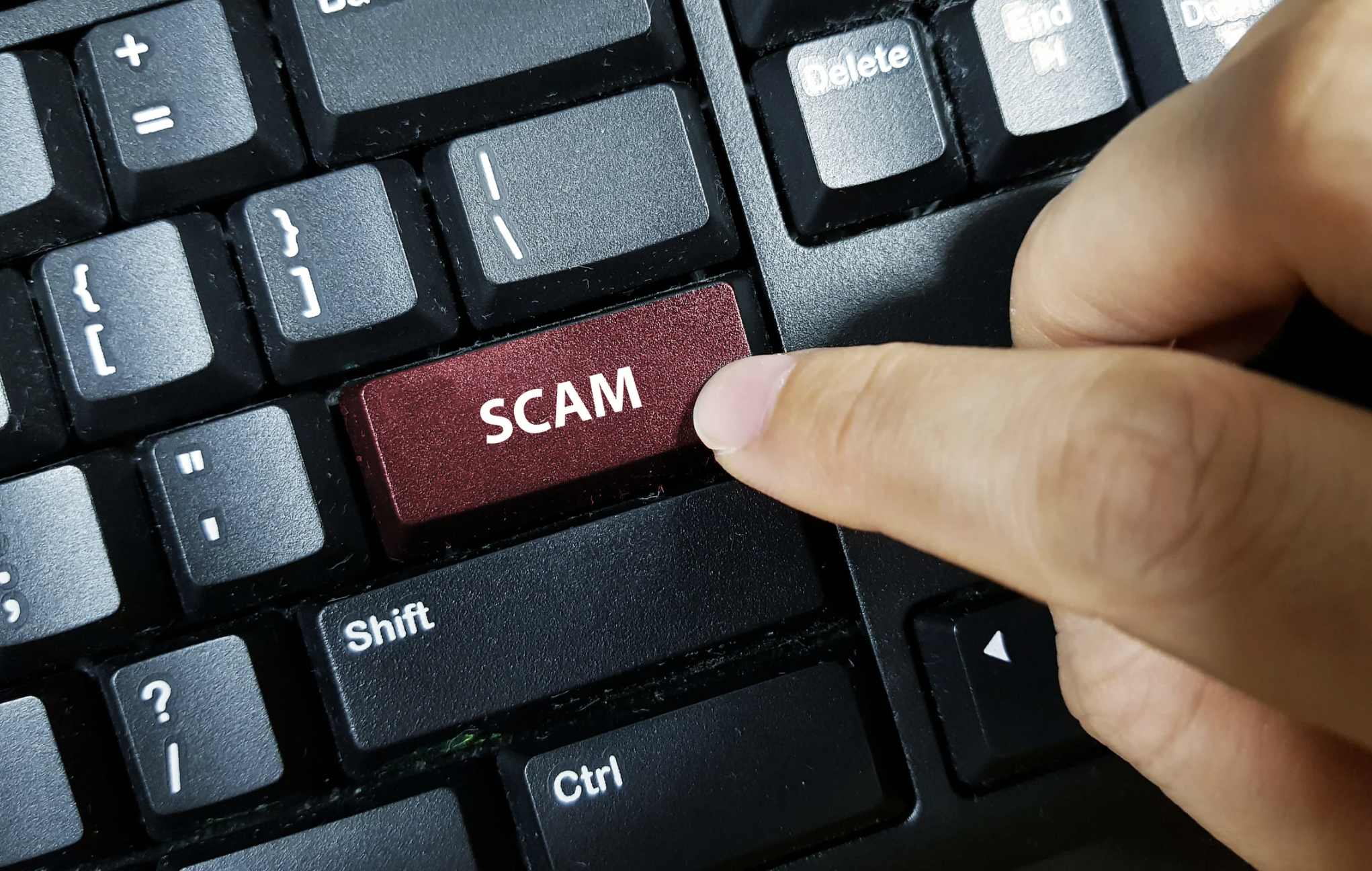 피싱 사기 피해 예방 전략