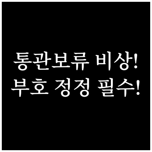 해외 직구 통관보류 개인통관부호 정정..