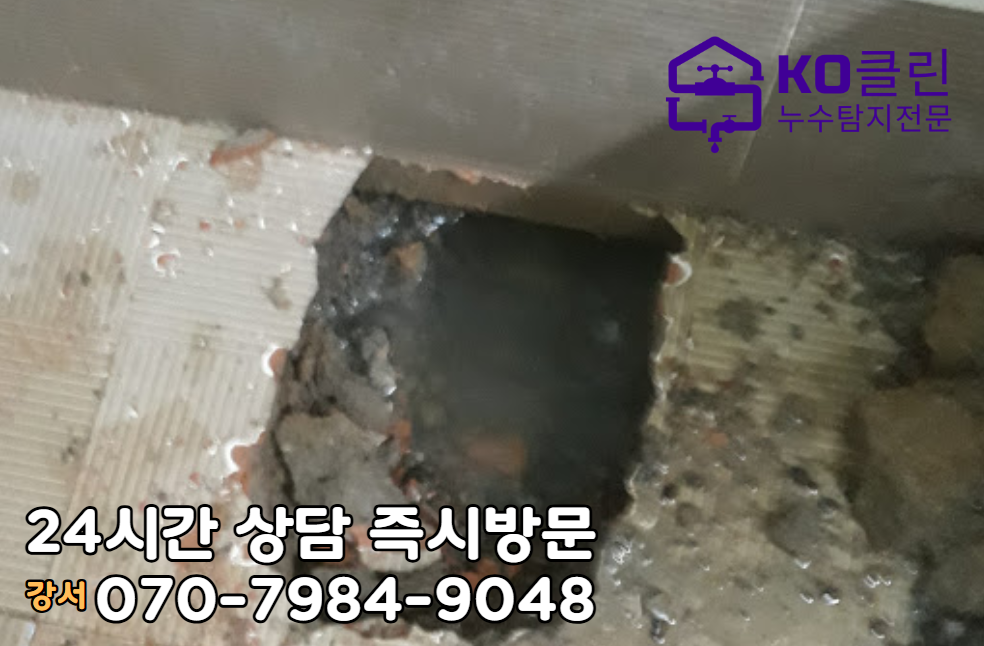 강서구 등촌동 아파트3