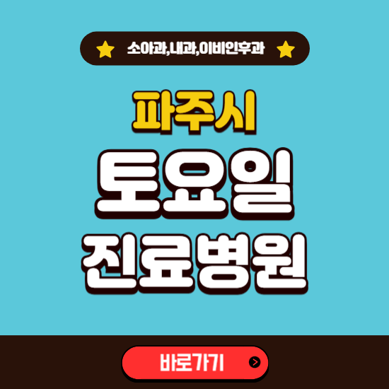 파주시 토요일 진료 병원 찾기 ❘ 주말 문여는 소아과, 내과, 이비인후과 리스트