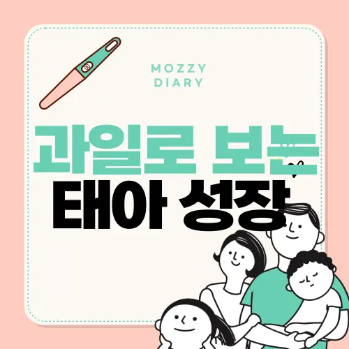 태아 성장 변화 과일로 알아보기, 블루베리부터 수박까지 주차별 TIP